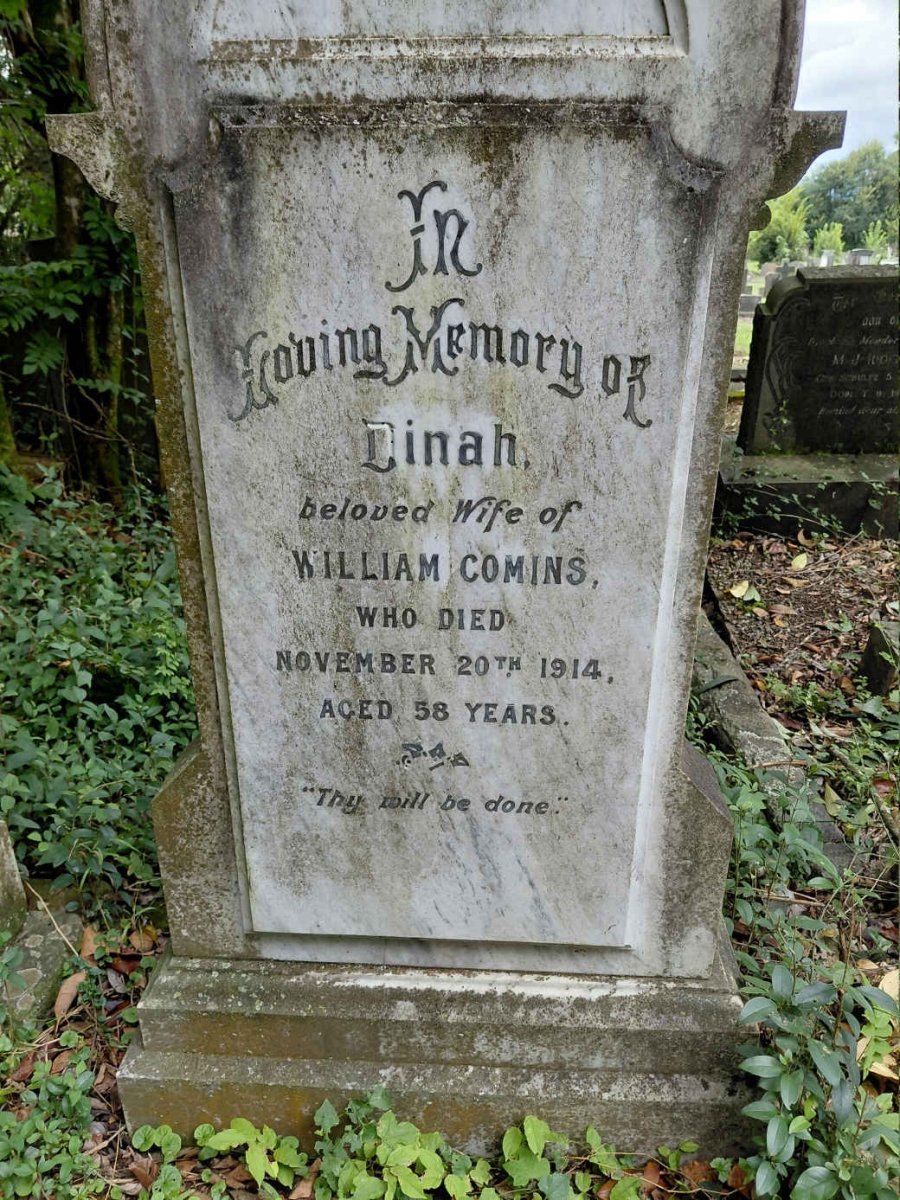 COMINS Dinah -1914