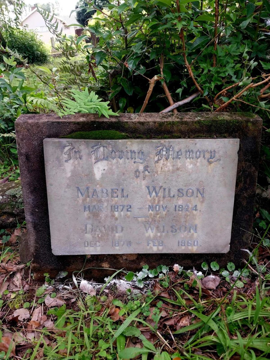 WILSON David 1870-1960 & Mabel 1872-1924