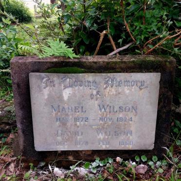 WILSON David 1870-1960 & Mabel 1872-1924