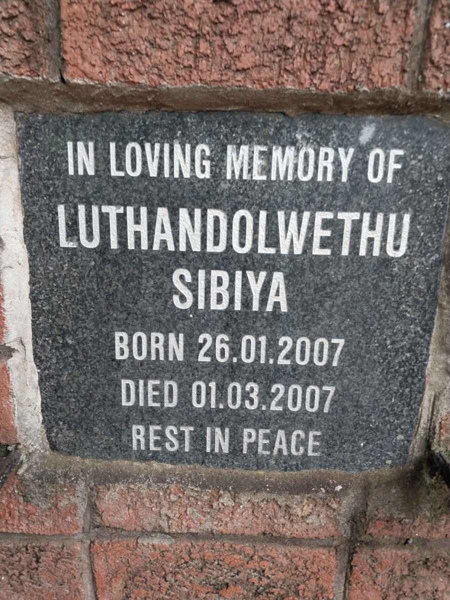 SIBIYA Luthandolwethu 2007-2007