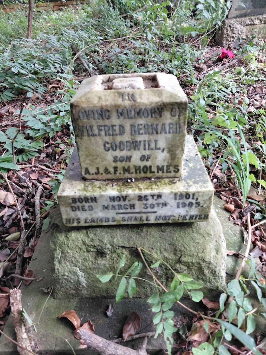 HOLMES Wilfred Bernard Goodwill 1901-1905