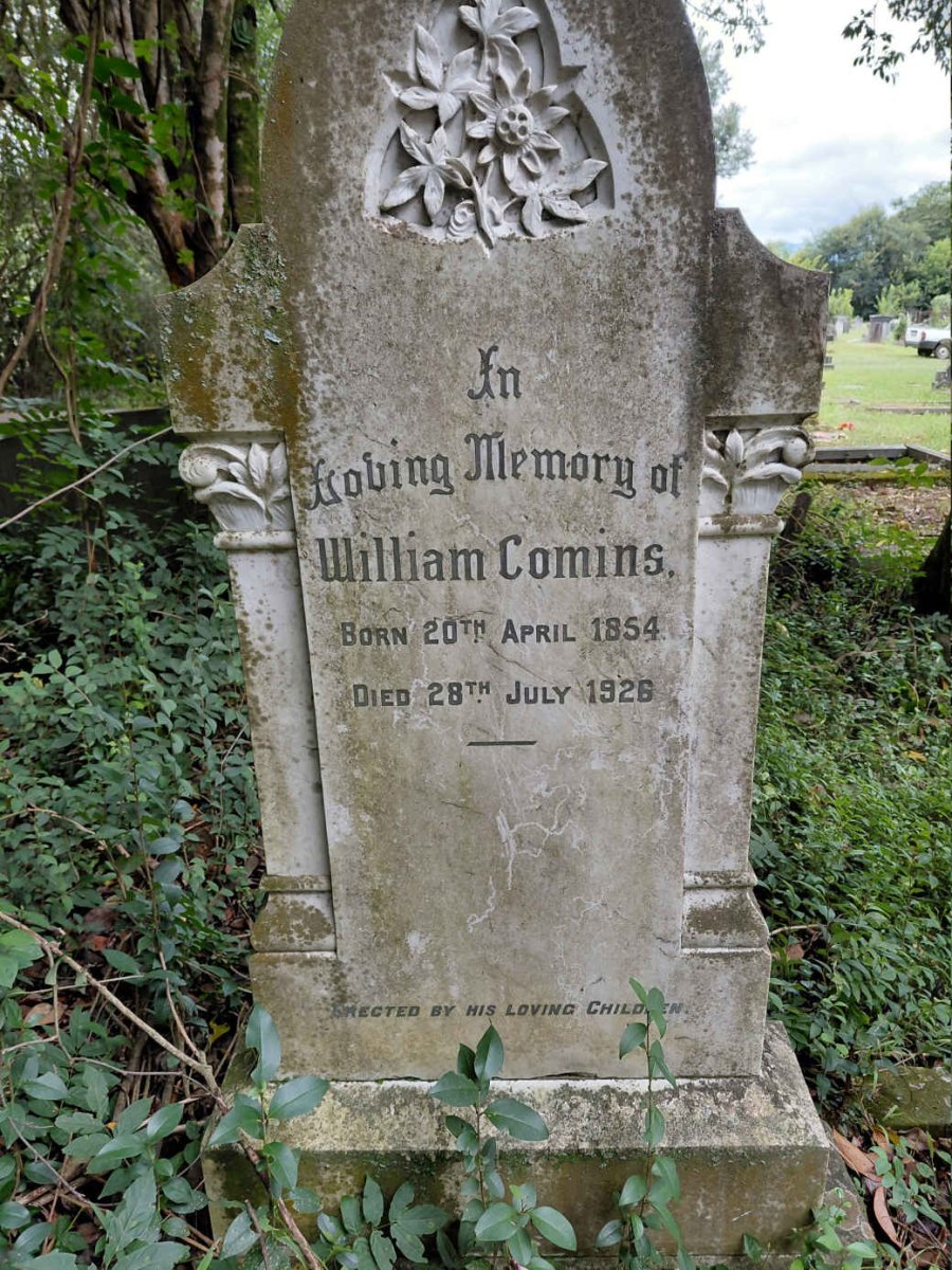 COMINS William 1854-1926