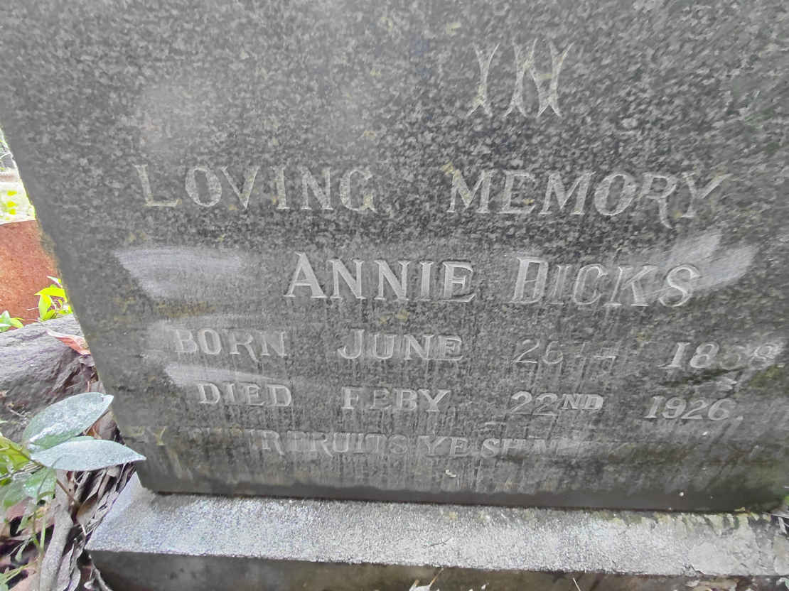 DICKS Annie 1858-1926