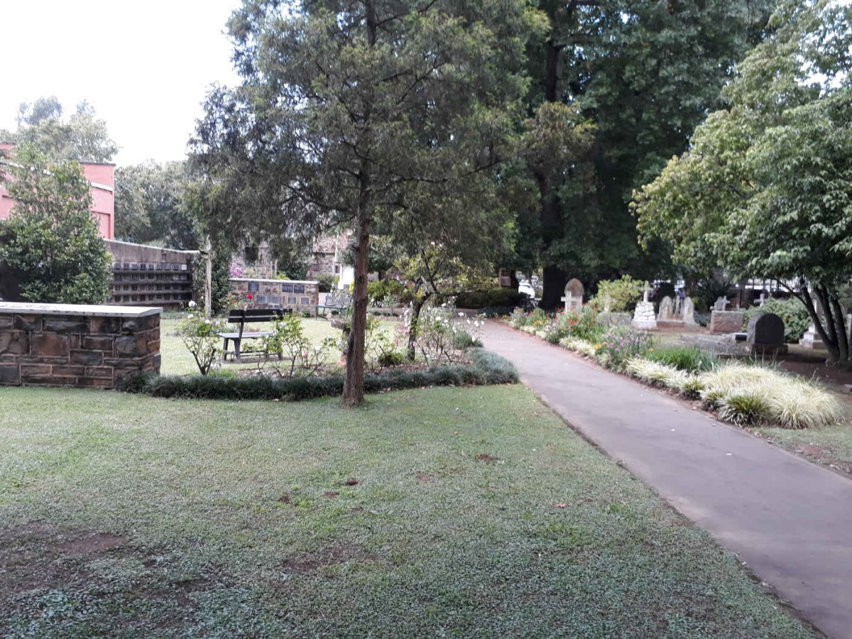 6. Overview