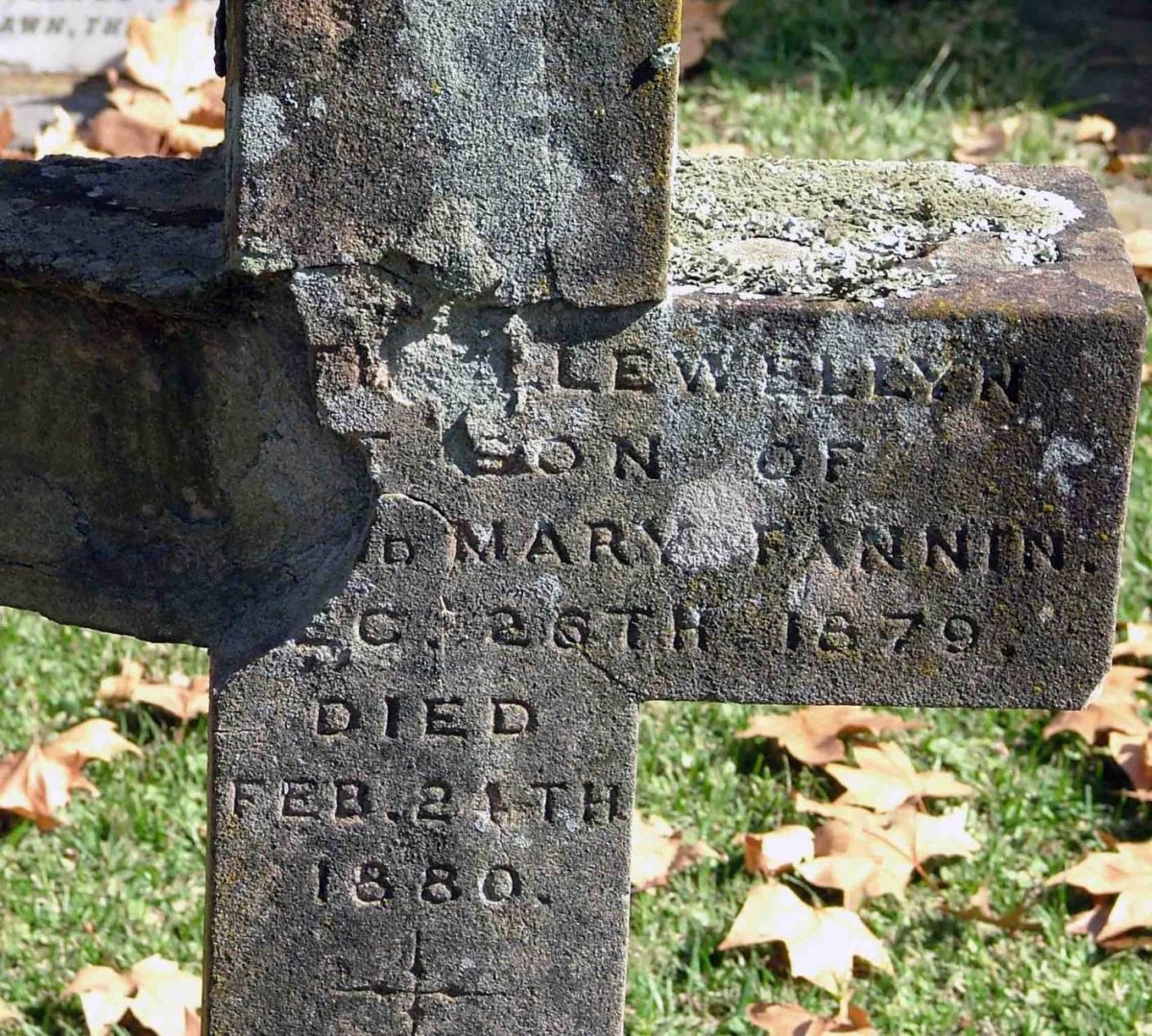 FANNIN Llewellyn 1879-1880