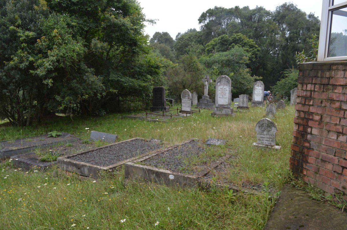 5. Overview