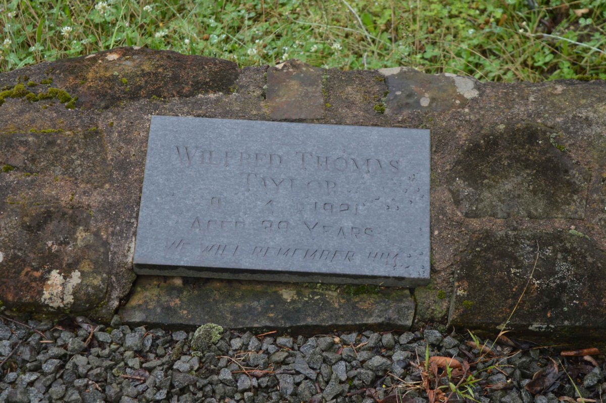 TAYLOR Wilfred Thomas -1921