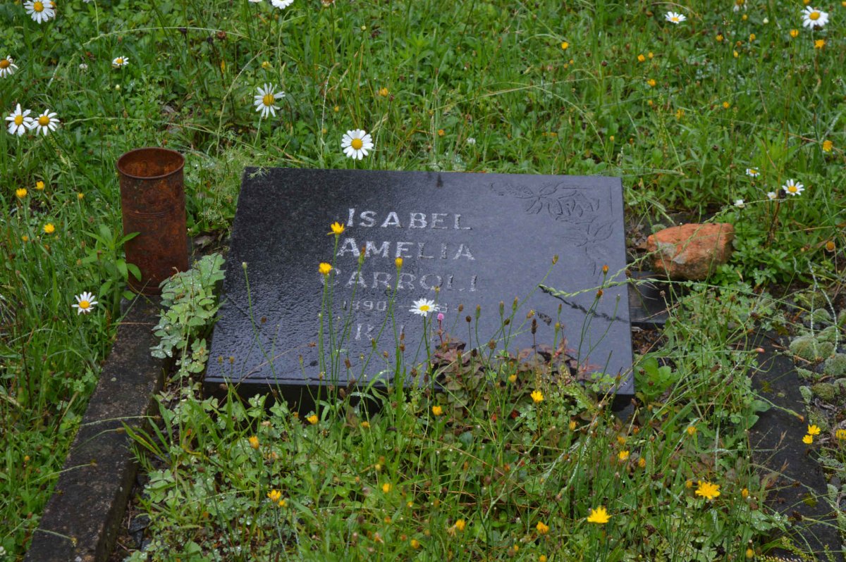 CARROLL Isabel Amelia 1890-1984