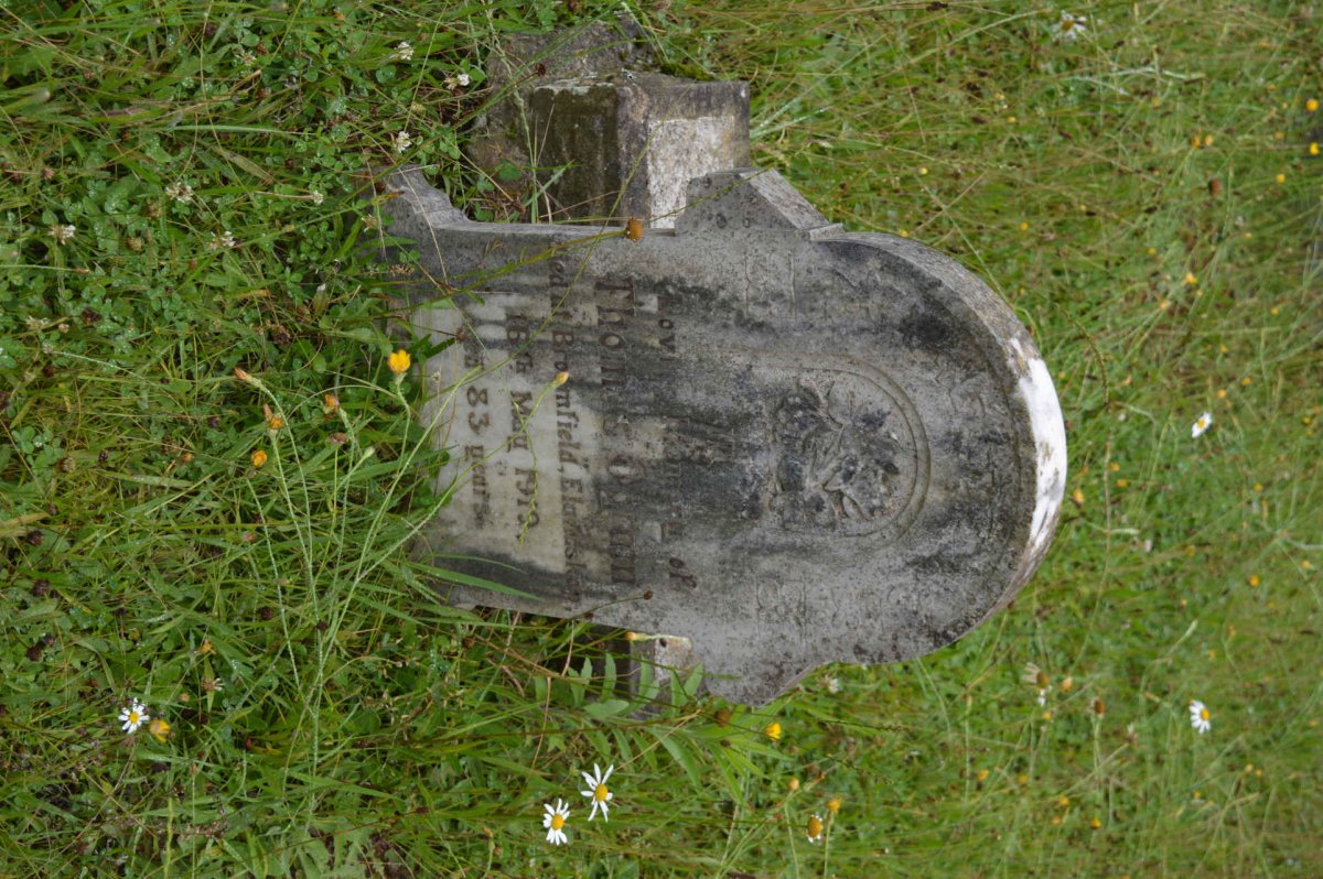 OGRAM Thomas -1919