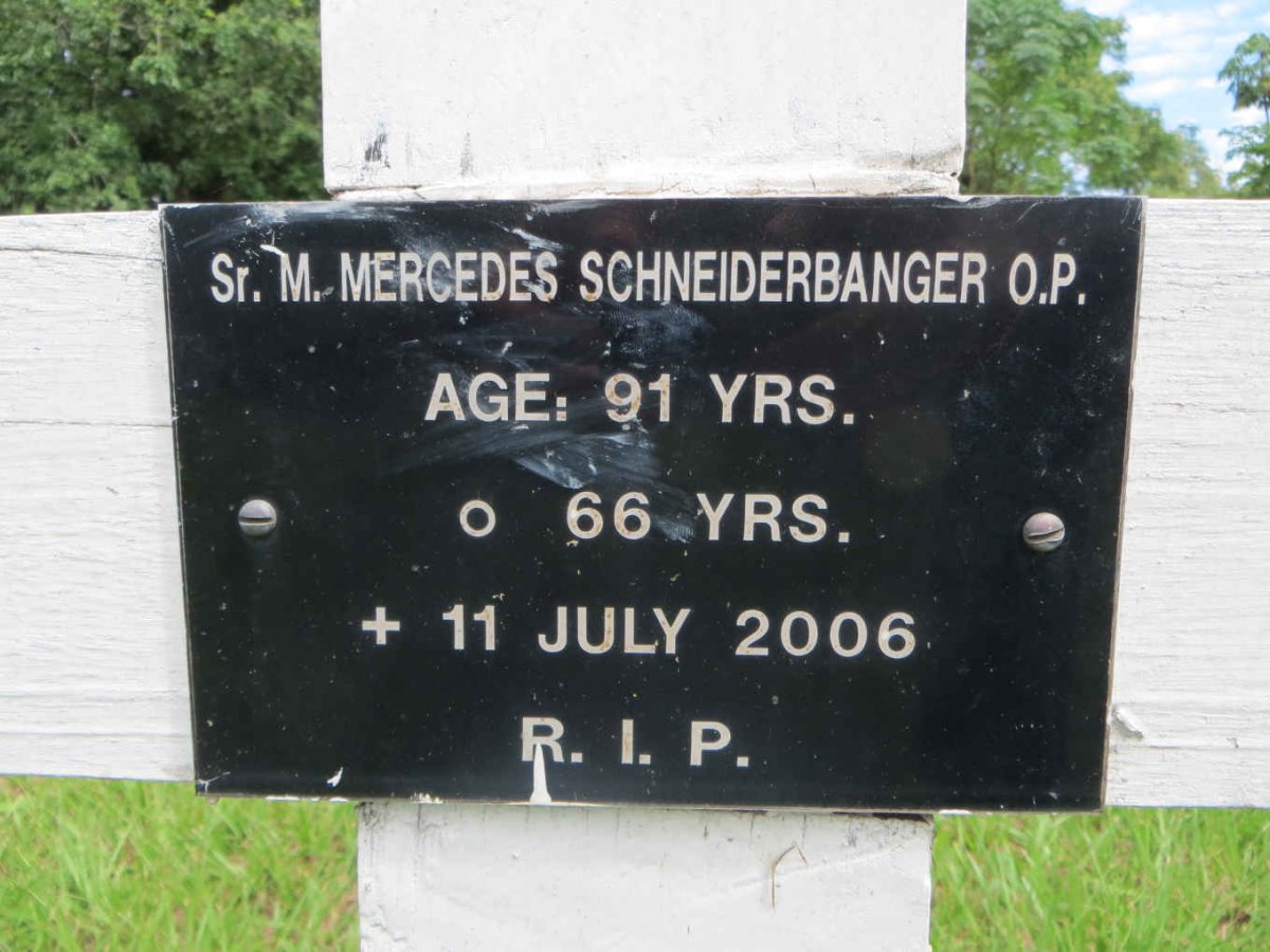 SCHNEIDERBANGER Mercedes -2006