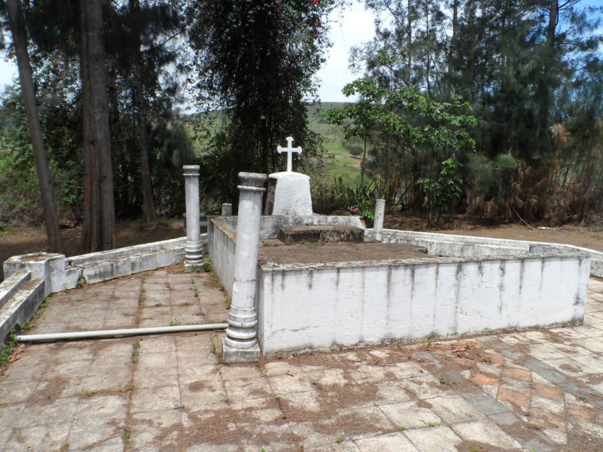 5. Overview