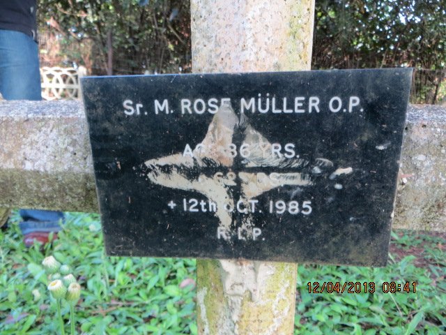 MULLER Rose -1985