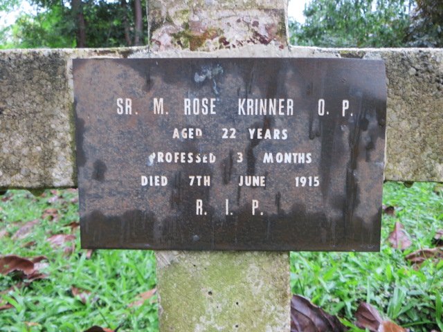 KRINNER Rose -1915