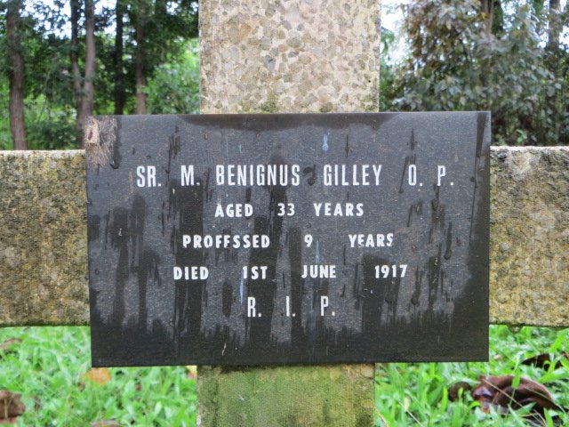 GILLEY Benignus -1917