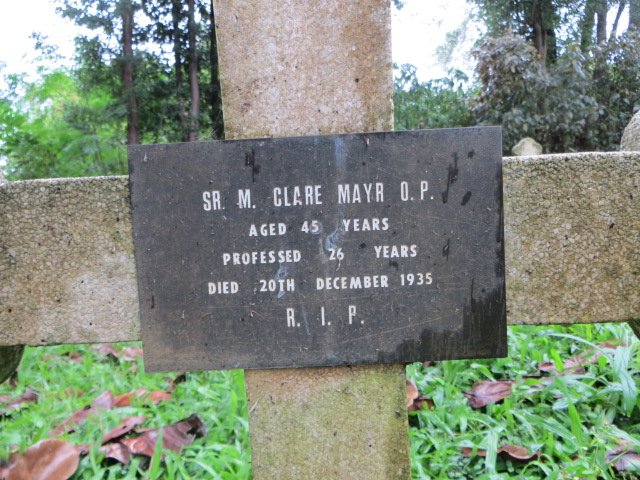MAYR Clare -1935