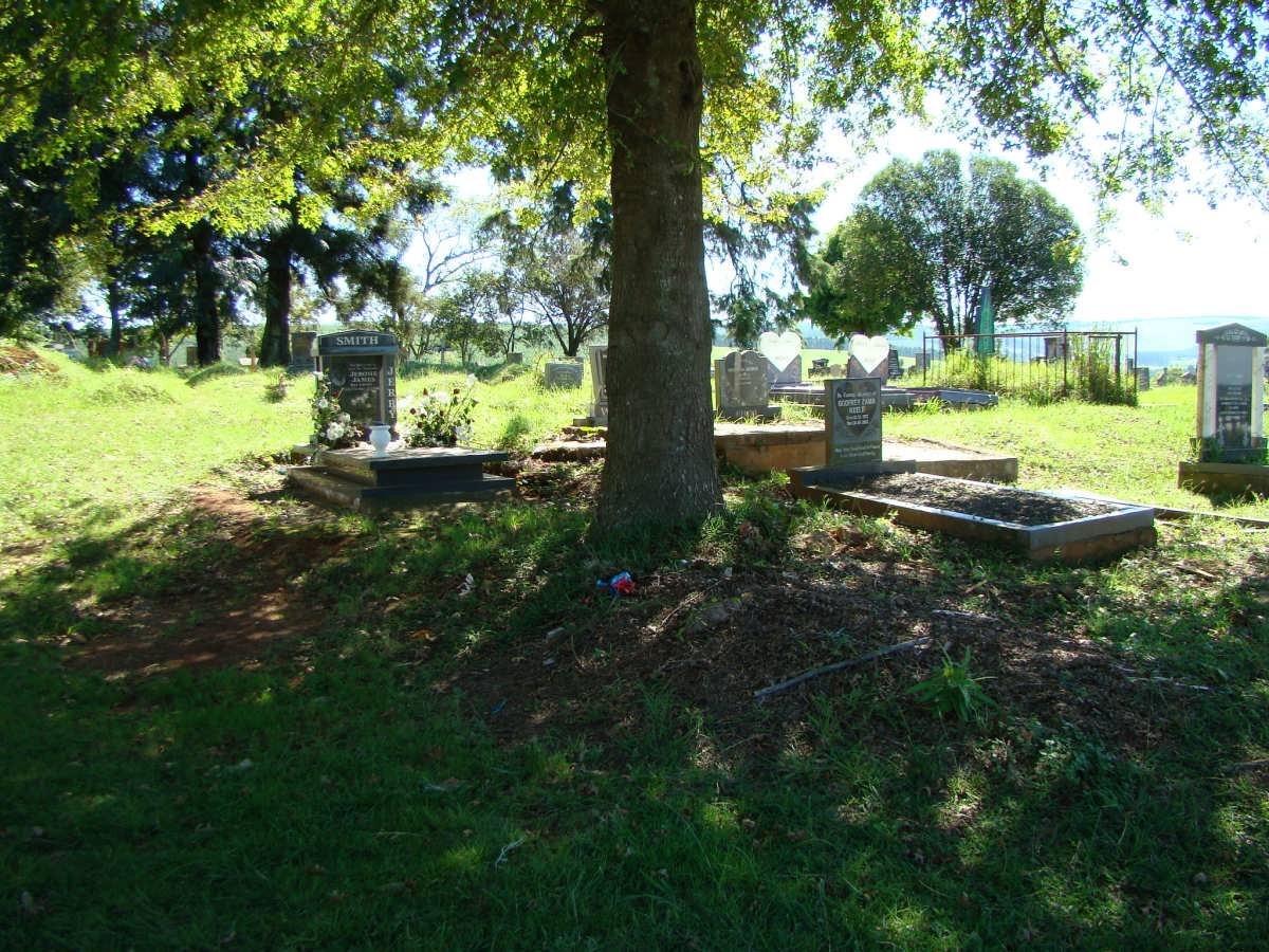 1. Overview
