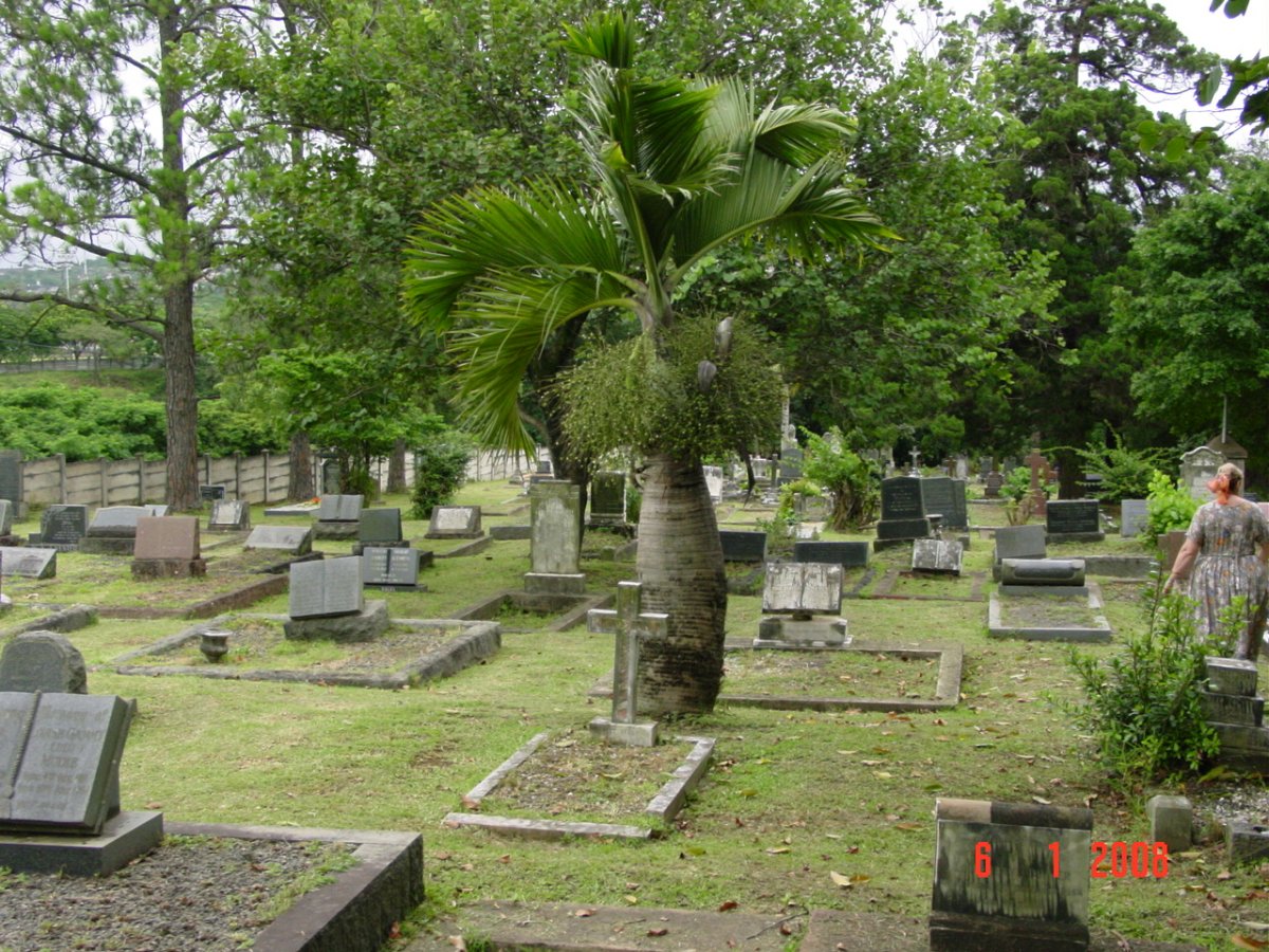 3. Overview