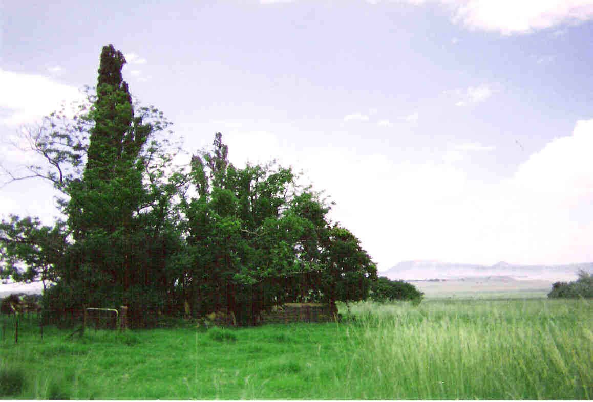 1. Overview