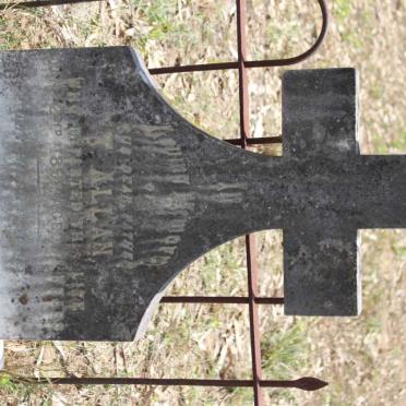 ALLAN T. -189?