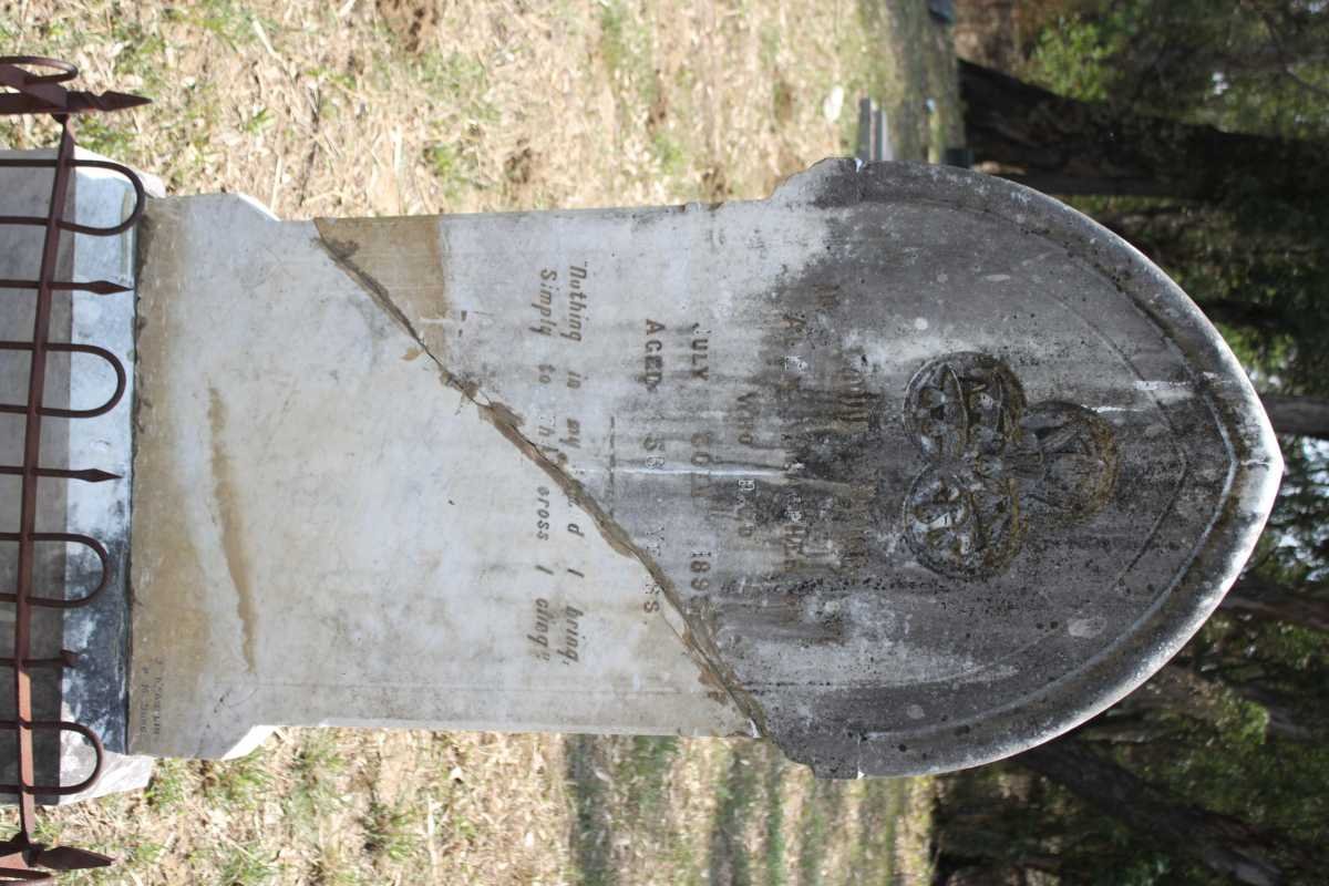 ? Alex -1895
