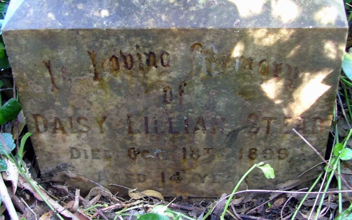 STEAD Daisy Lillian -1899