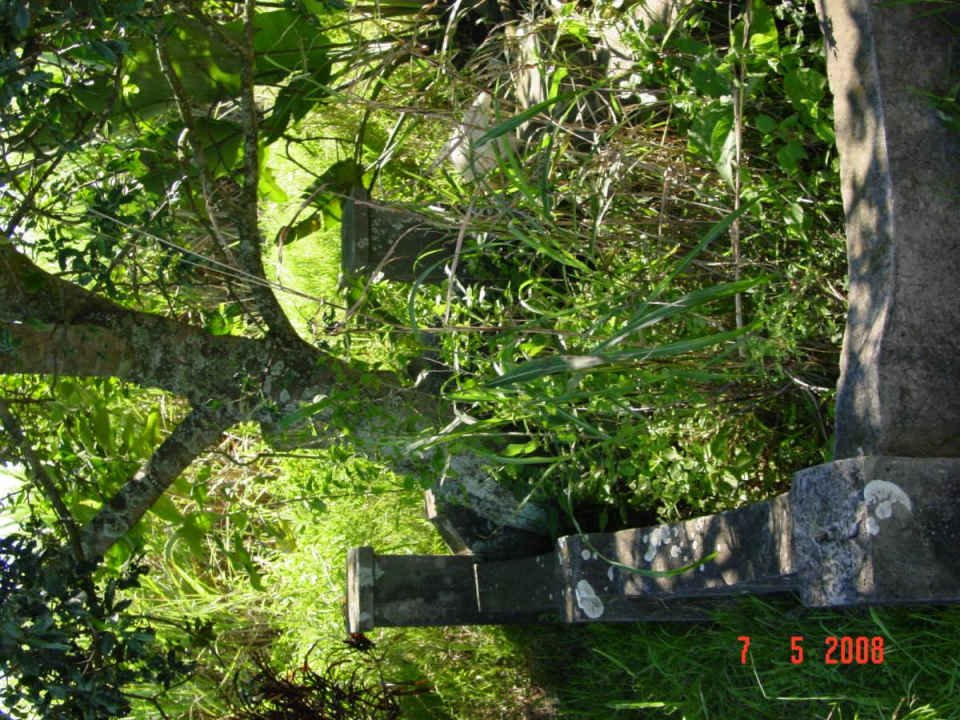 2. Overview