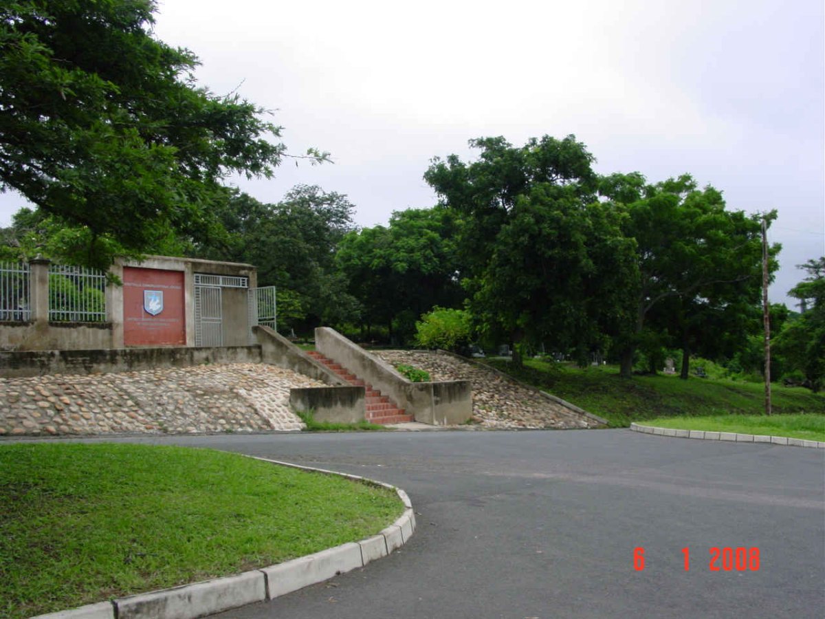 1. Overview