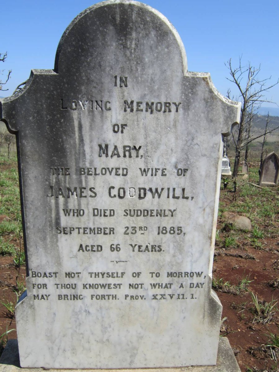 GOODWILL Mary -1885