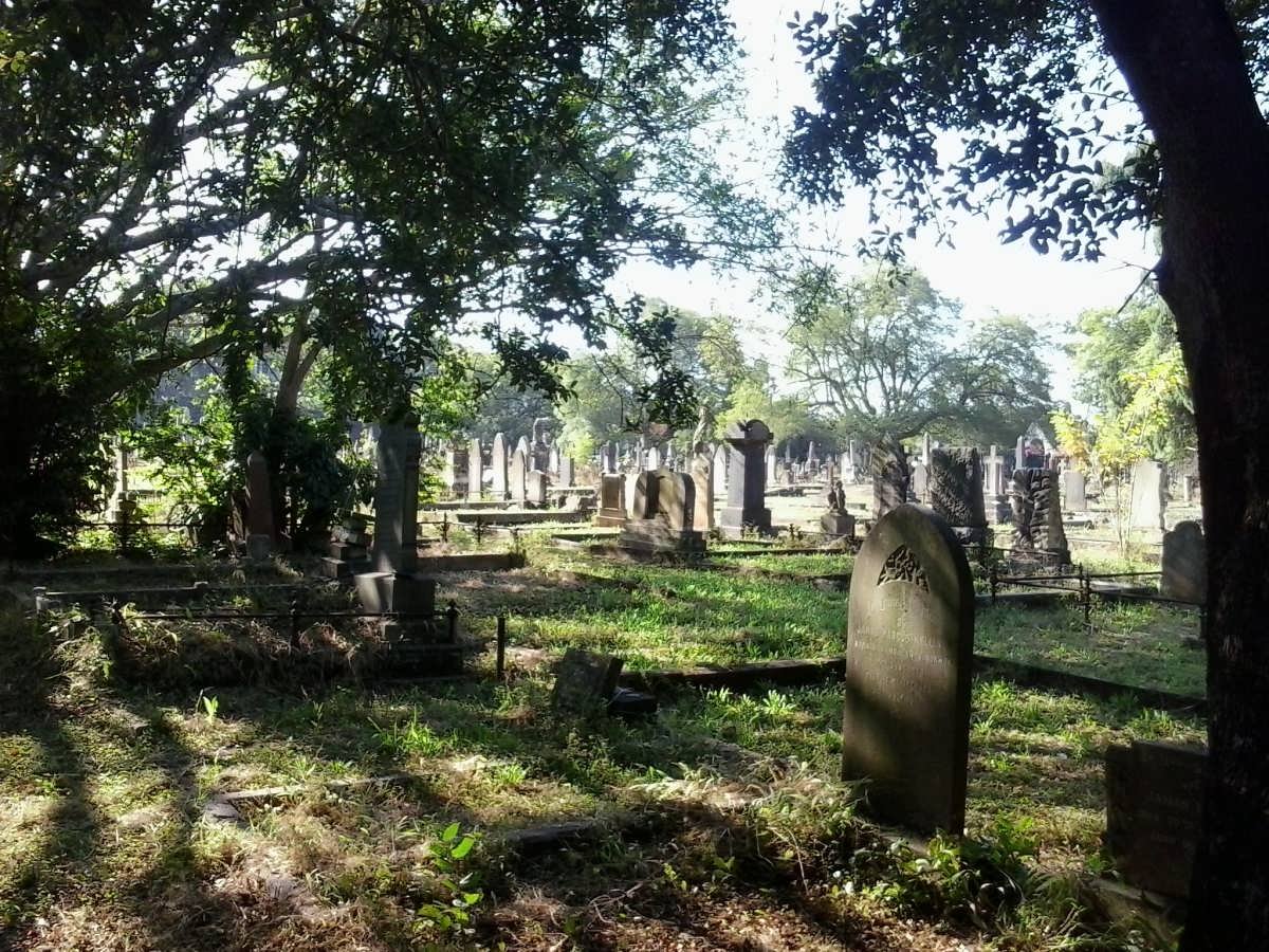 4. Overview