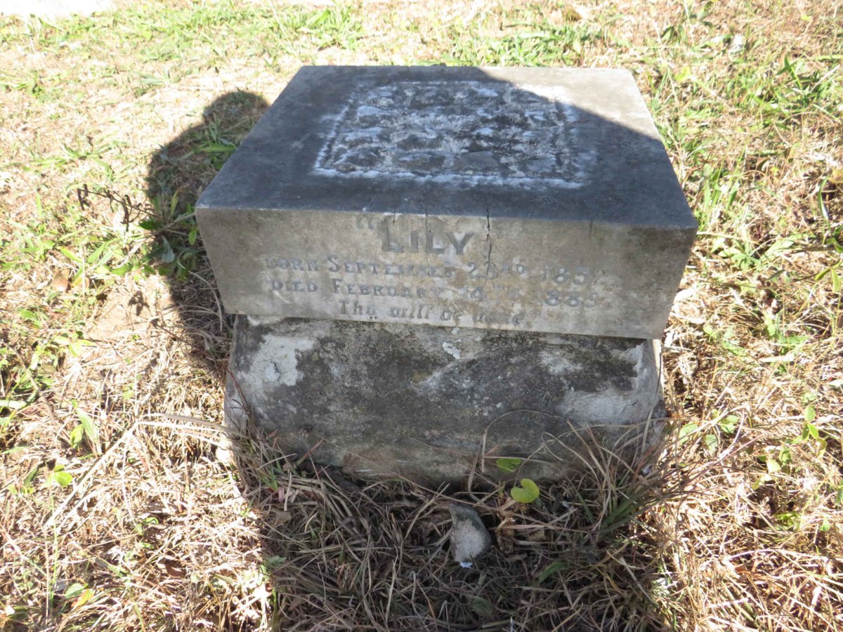 ? Lily 1852-1889