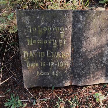 EVANS David -1914