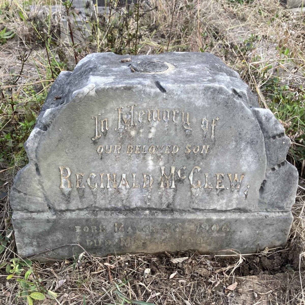 MCGLEW Reginald 1906-1906