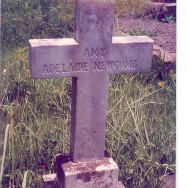 NEWCOMB Amy Adelaide -1883
