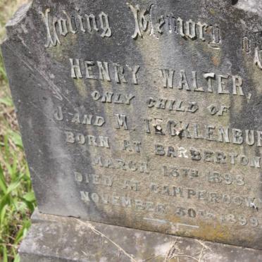 TECKLENBURG Henry Walter 1898-1899