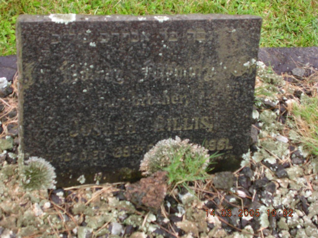 GILLIS Joseph -1951