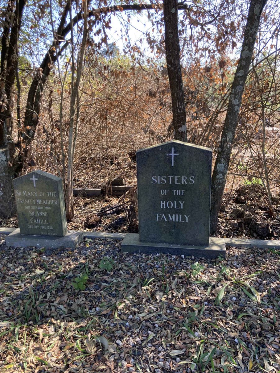 3. SISTERS of the Holy Family