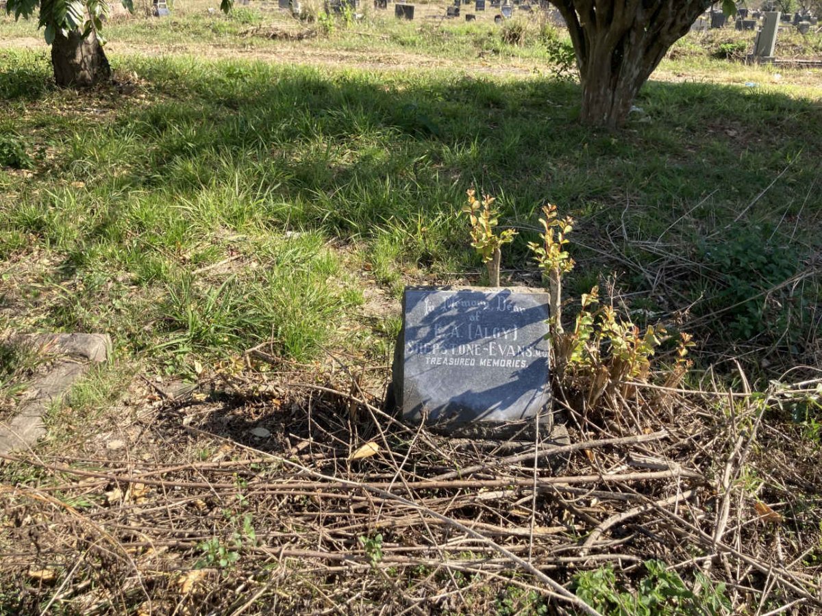 EVANS B.A., SHEPSTONE-
