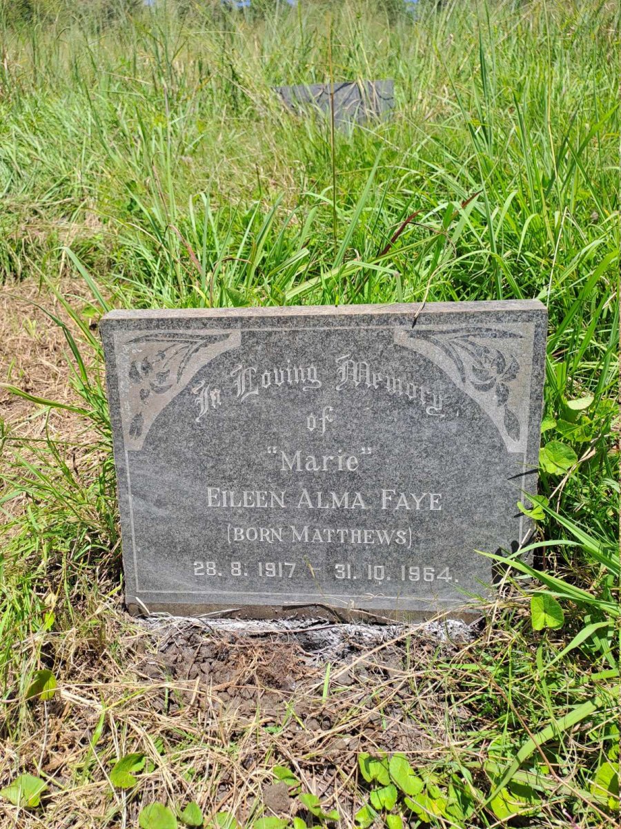 FAYE Eileen Alma nee MATTHEWS 1917-1964