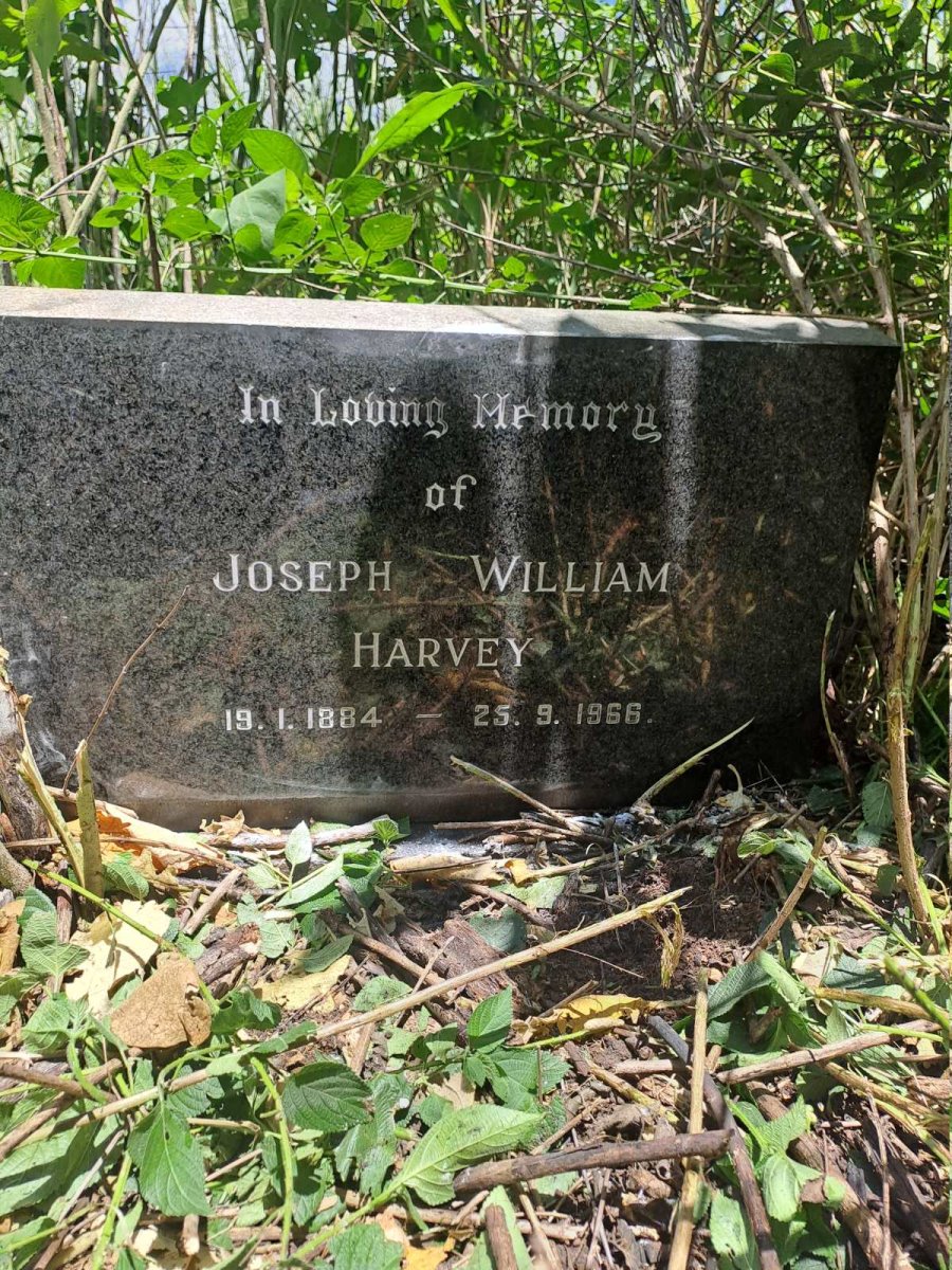 HARVEY Joseph William 1884-1966