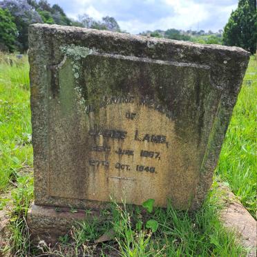 LAMB James 1867-1946