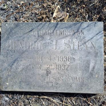 STEYN Hendrik J. 1936-1937