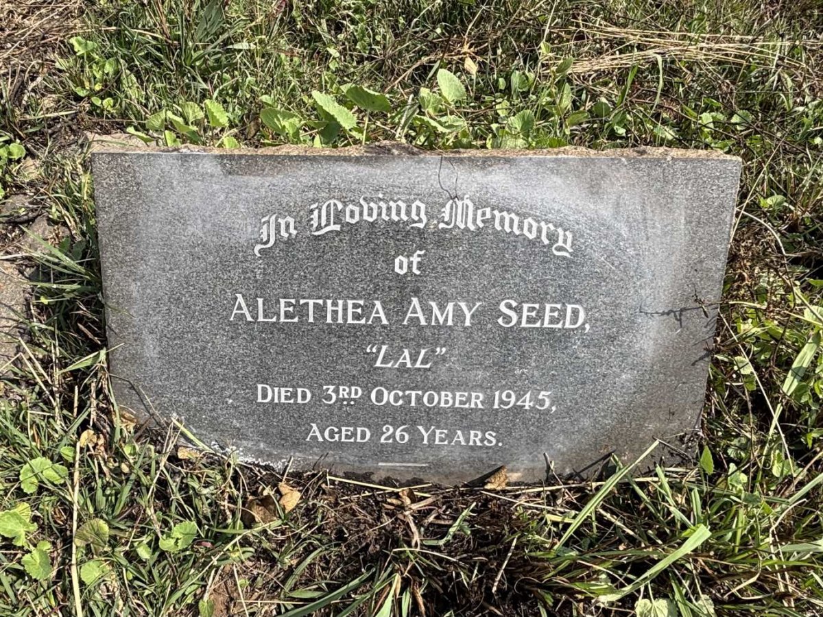 SEED Alethea Amy -1945