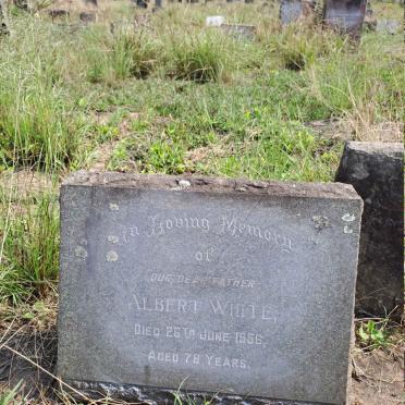 WHITE Albert -1956