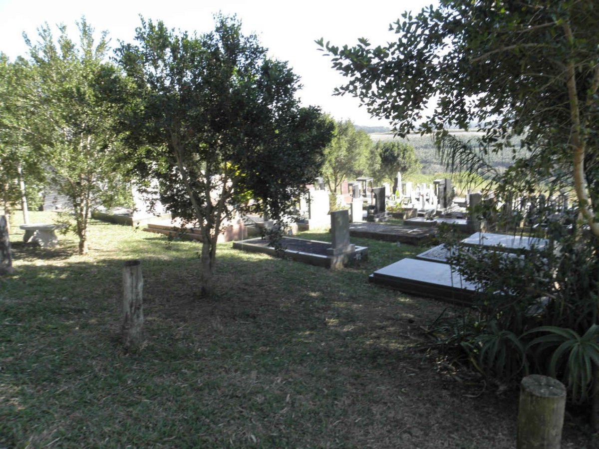 4. Overview