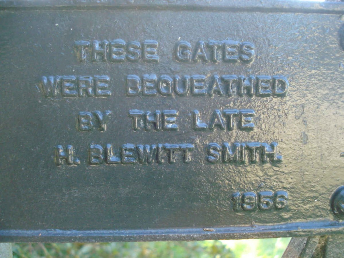 4. Plaque