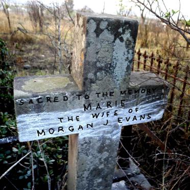 EVANS Marie