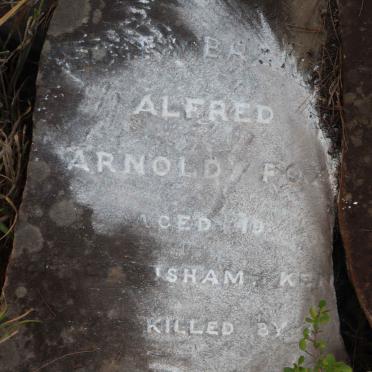 FOX Alfred Arnold 