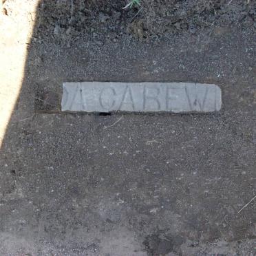 CAREW ?
