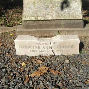 PEDDIE Carolina Anne -1882 :: PEDDIE Willhemina -1952
