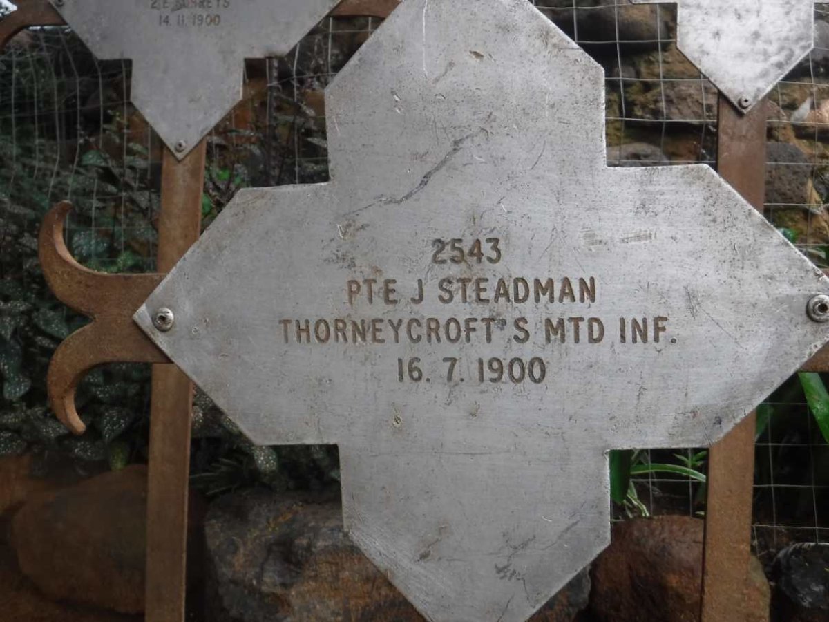 STEADMAN J. -1900